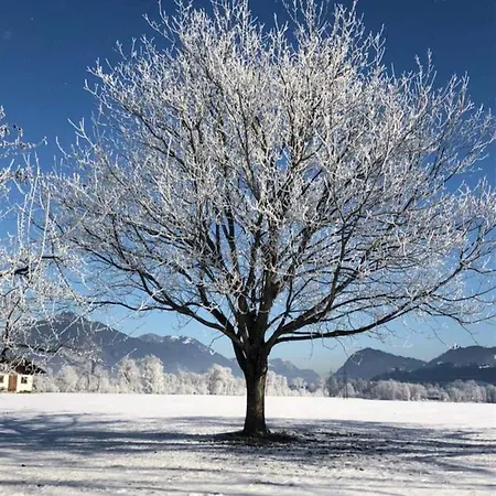 Schiestl * 乌登斯